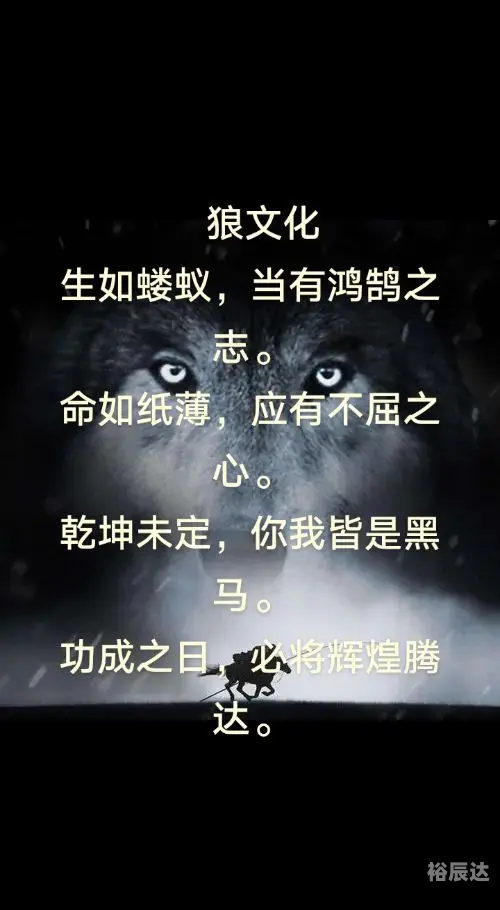 广西的狼精英主论坛_广西狼精英主论坛，探索狼性精神的深度交流