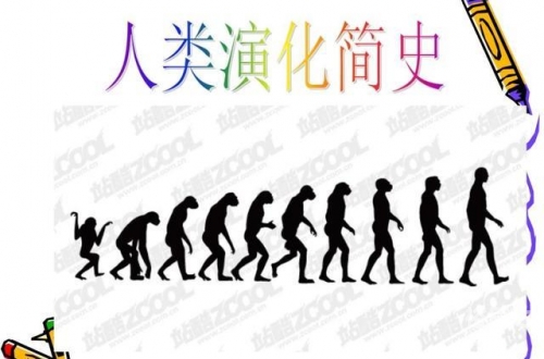 进化evolve进化与演进的探索-第3张图片
