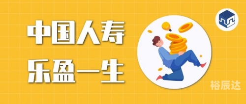 盈乐乐盈乐乐，快乐与智慧的融合-第2张图片