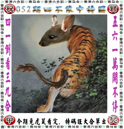 2024澳门资料正版大全2024澳门资料正版大全