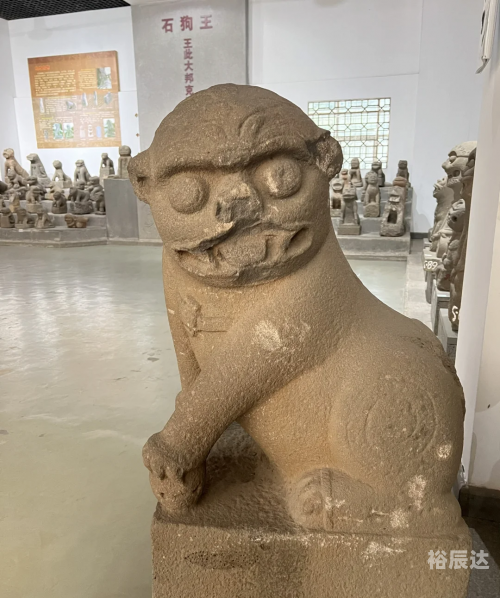 376969狗跑论坛6863376969狗跑论坛，探索狗狗世界的奇妙之旅-第3张图片