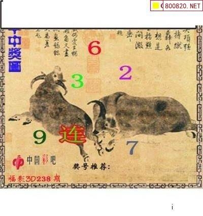 新报跑狗，新闻热潮下的新体验-第3张图片