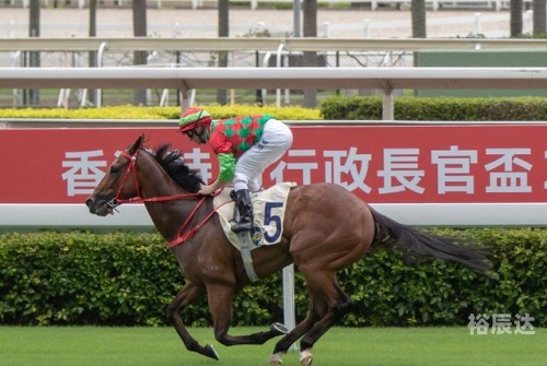 香港马会2021年开奖日期揭晓-第2张图片