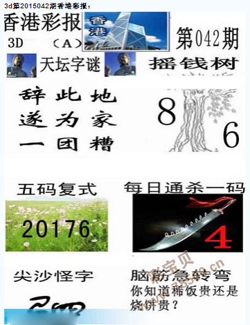 香港赛马会开奖揭晓，揭开竞速之谜