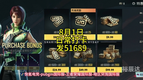 PUBG国际服鉴权失败PUBG国际服鉴权失败，玩家遭遇与解决方案-第3张图片