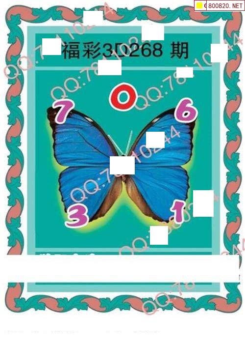 二四六图片玄机料二四六免费玄机图，解锁神秘世界的秘密-第2张图片