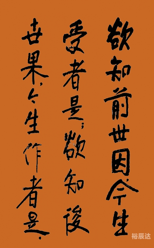 未亡人未亡人，情感的交织与人生的无常-第2张图片