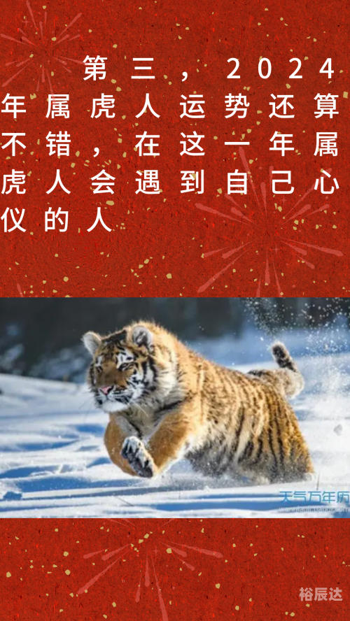 2024年生肖49码图揭秘-第3张图片