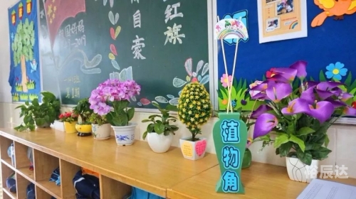 鲸享橙，绿色科技新体验-第2张图片