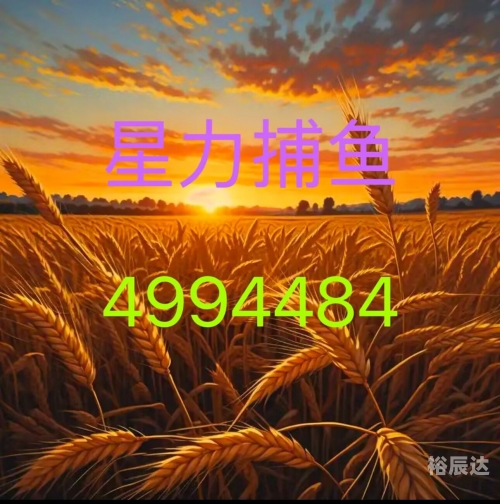 星力手机捕鱼星力手机捕鱼，科技与娱乐的完美结合-第1张图片