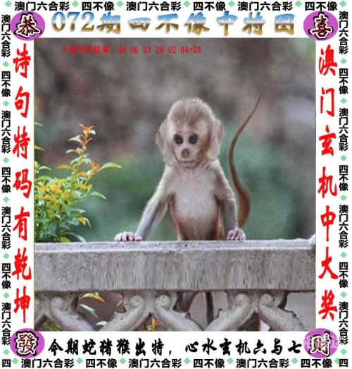 香港正版资料免费大全mfht08hztop香港免费正版资料大全网介绍-第1张图片