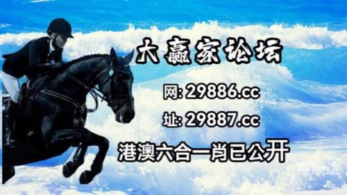 新澳门，一码一肖一特一中的神秘魅力-第3张图片