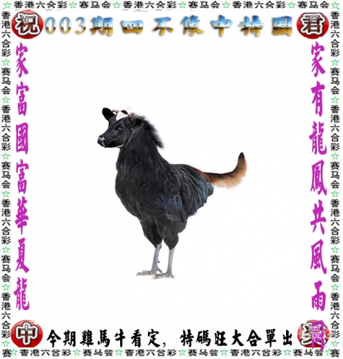 管家婆四肖期期准一期192.168.100.1管家婆四肖期期精选免费资料-第2张图片