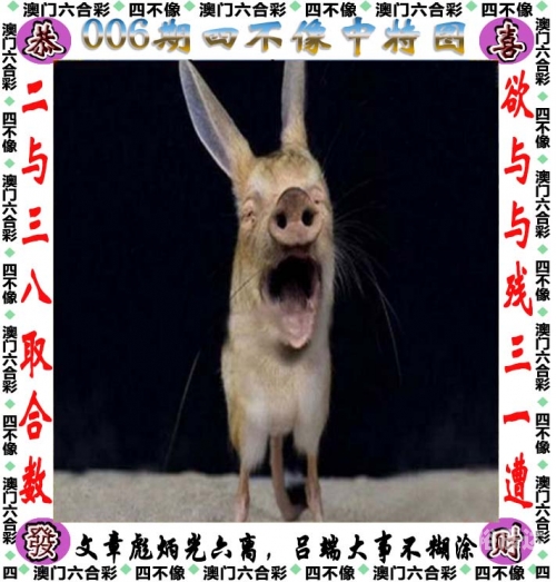 澳门三肖三码期期准精选金牛-第3张图片