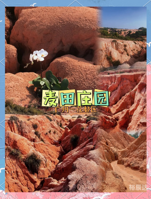花都特工，暗流涌动的神秘世界
