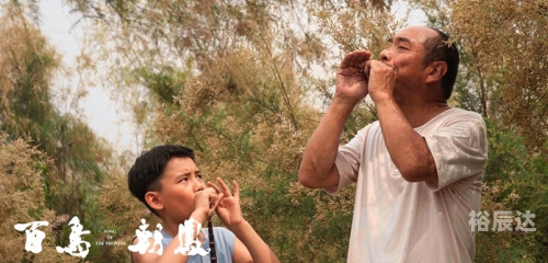 小鸟影视 官网7788.com，探索数字时代的无限可能-第3张图片