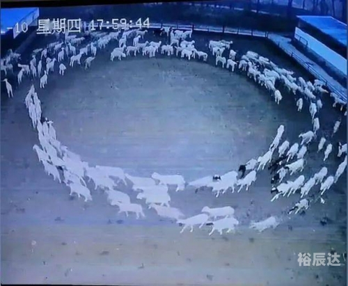 香港风水师预言2021年，风云变幻中的神秘力量