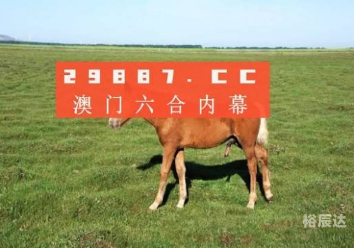 新澳彩资料免费长期公开，四大才子的彩票之路