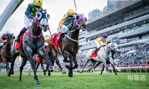香港马 会开奖结果新闻香港马会现场开奖体验-第2张图片