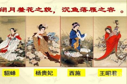 貂蝉满座指的是什么生肖貂蝉满座打一生肖——虎-第1张图片