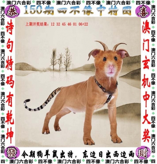 2024香港开奖结果及开奖记录