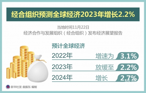 2022一肖一码100%中奖2022一肖一码，100%中奖的神秘预测与展望