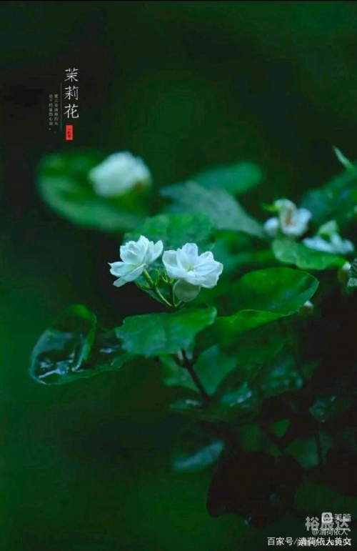 微风网微风网，探索自然之美与信息之窗