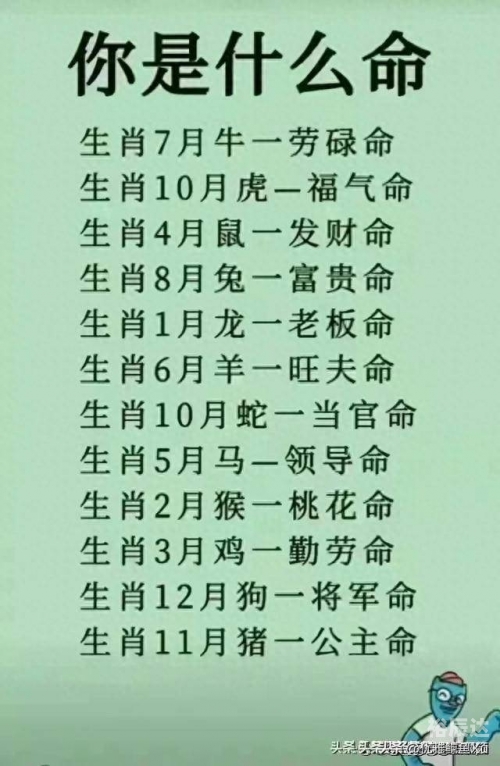 2024最新12生肖号码揭秘