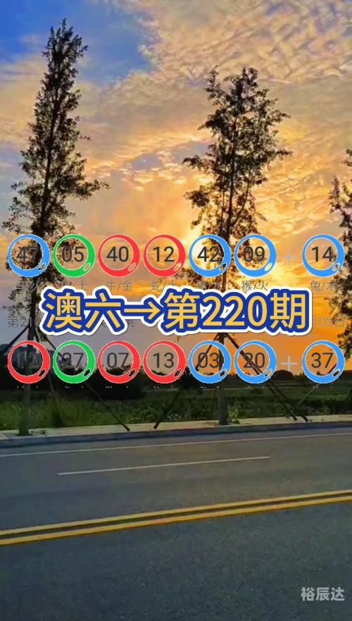 新澳门最新开奖历史结果查询表新澳门最新开奖历史结果回顾