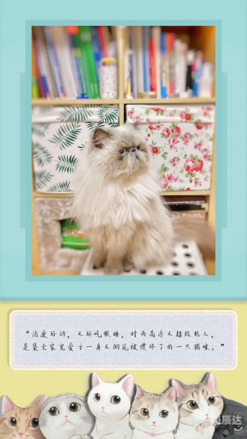 快猫的最近链接是多少KM8KW快猫最近链接KM8KW-第2张图片