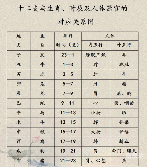 正确的十二时辰对照表生肖正确的十二时辰对照表-第1张图片