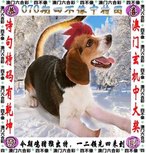 港澳宝典最新版565635，探索港澳新篇章-第1张图片
