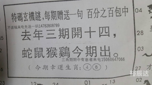 二八追求五迟疑是什么生肖