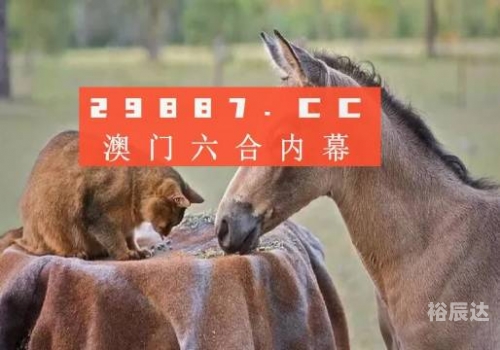 2023澳门彩正版资料大全2023澳门彩正版资料大全-第2张图片