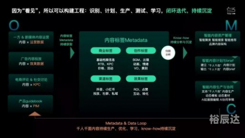 49619澳门彩库资料上澳门彩库免费资料，解读与策略-第2张图片