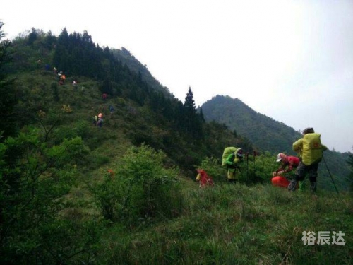 快赢481近500期开奖号码快赢481，把握机遇，赢在未来