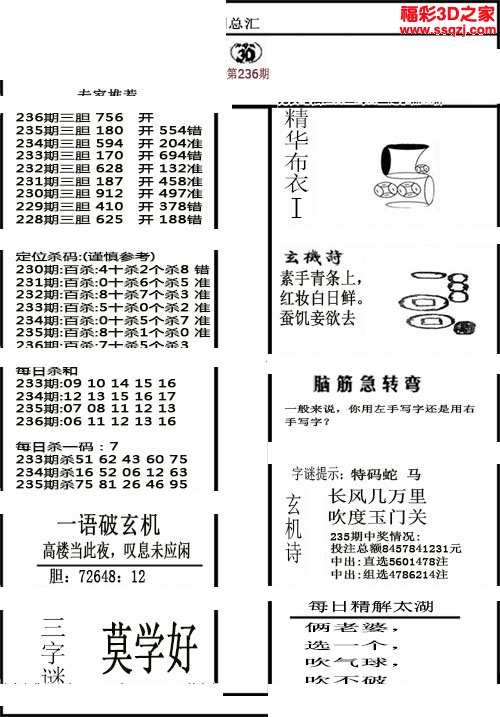 真精华布衣天下3D正版今日盛典-第2张图片
