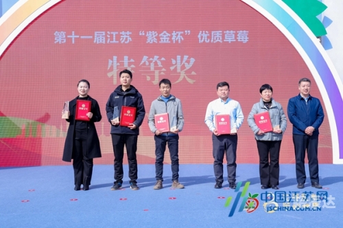 江苏十一选五开奖:结果江苏十一选五开奖结果图揭晓-第2张图片