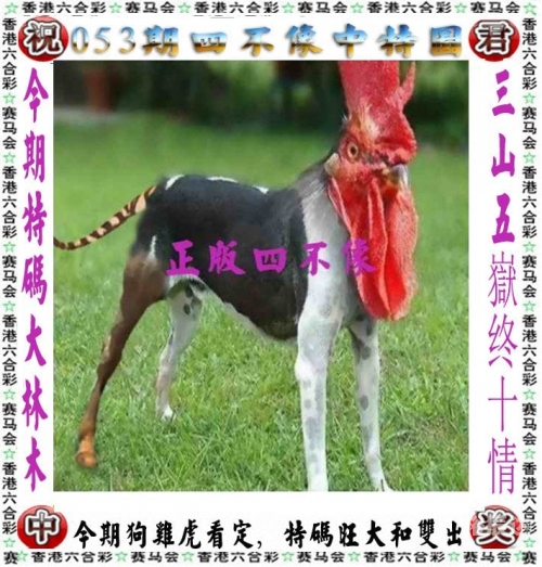 澳门三期内必开三肖302期澳门三期内必开三肖-第1张图片