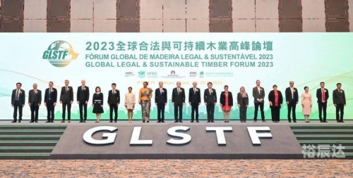 2023今晚澳门开特马86期2023澳门特马之夜，璀璨盛宴与无限机遇