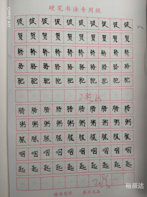 彩字网彩字网，文字的魅力与无限可能