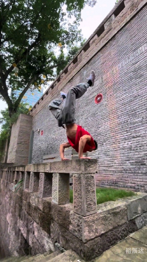 特种高手在都市特种高手在都市