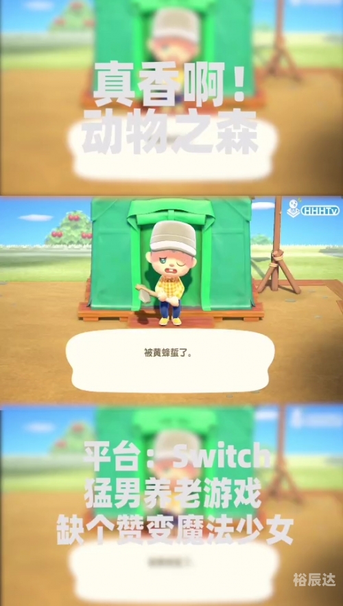 动物之森Switch，探索自然与心灵的栖息地-第3张图片