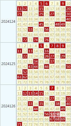 2024香港历史开奖记录57期一2024香港历史开奖记录57期，回顾与展望