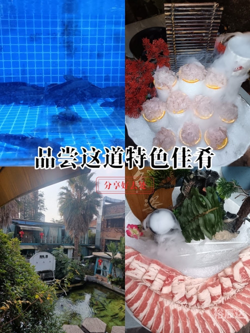 澳门新葡萄新京8883not澳门新葡萄新京8883，探索新时代的味蕾盛宴
