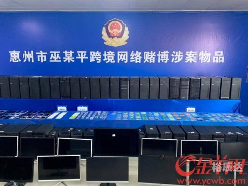 百家乐论坛，探索网络赌博的秘密世界