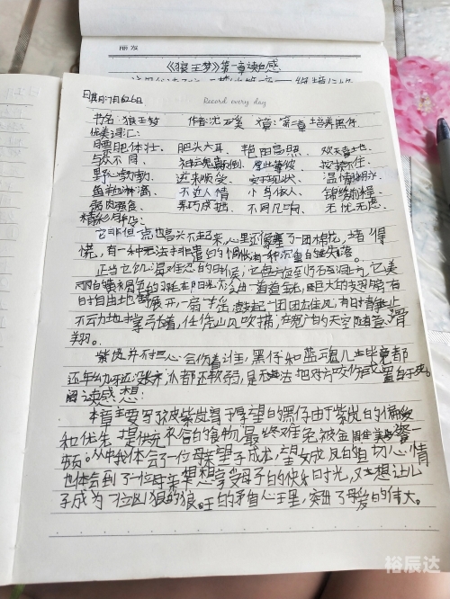 狼王梦全文阅读-第2张图片