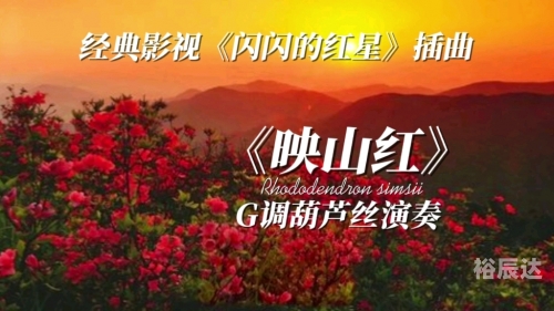 中国原创音乐基地伴奏下载葫芦丝映山红中国原创音乐基地伴奏，音乐创作的灵魂之源-第2张图片