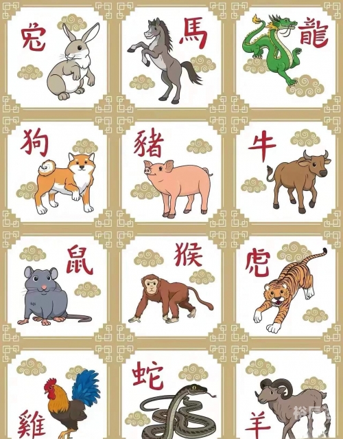群龙无首是什么生肖正确答案群龙无首是什么生肖？