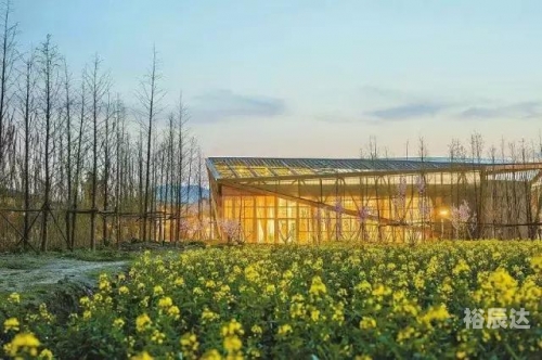 乡村欲爱 免费阅读乡村欲爱，免费阅读的诗意田园-第2张图片